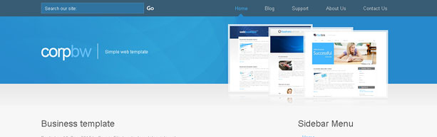 隐私严格保护的手机号轰炸机